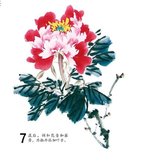 牡丹花畫|【国画教程】怎样画牡丹？史上最全三十六技法！